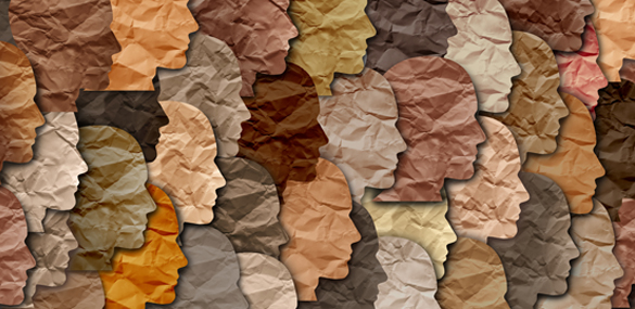  Slate, Texture, Home Decor, Art, Collage, Rock, Leaf, Plant