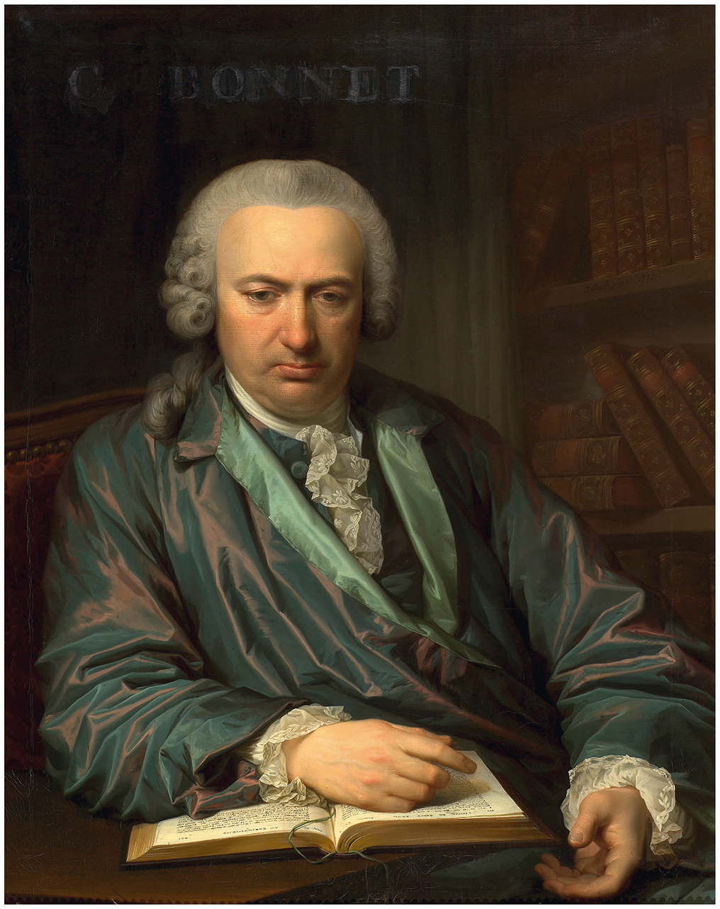 Ask Ferdinand de Saussure 5 Art, Painting, Adult, Male, Man, Person, Face, Head, Photography, Portrait, Valentin Haüy